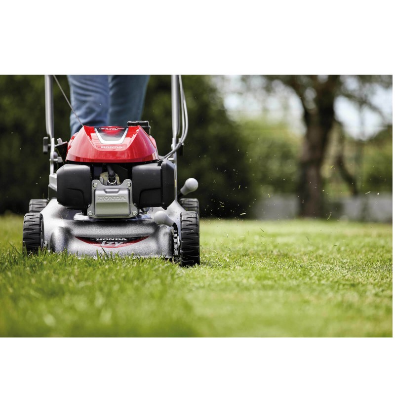 Tondeuse Honda IZY HRG 466 SKEP Thomas Rural Master