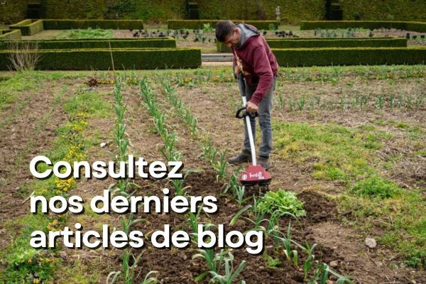 Tous les articles de blog