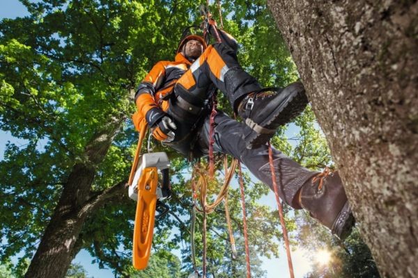 Accessoires pour arboristes